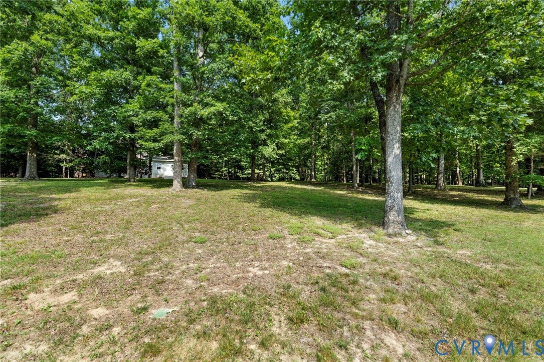 Expansive wooded lot featuring mature trees and a manicured lawn