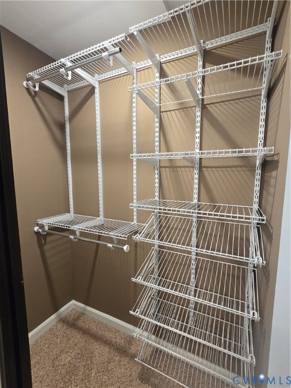 1101 Haxall Point, #815, Richmond, VA 23219 Closet with adaptable wire shelving system
