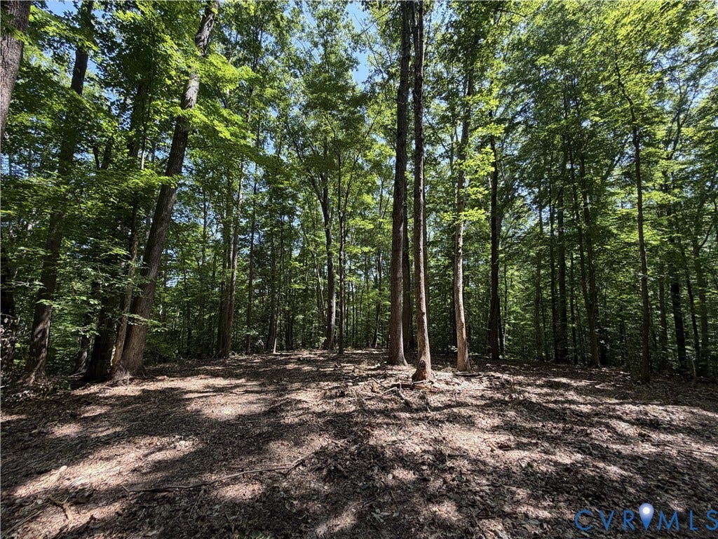 Lot 4A Parrish Road, Louisa, Louisa, VA 23093