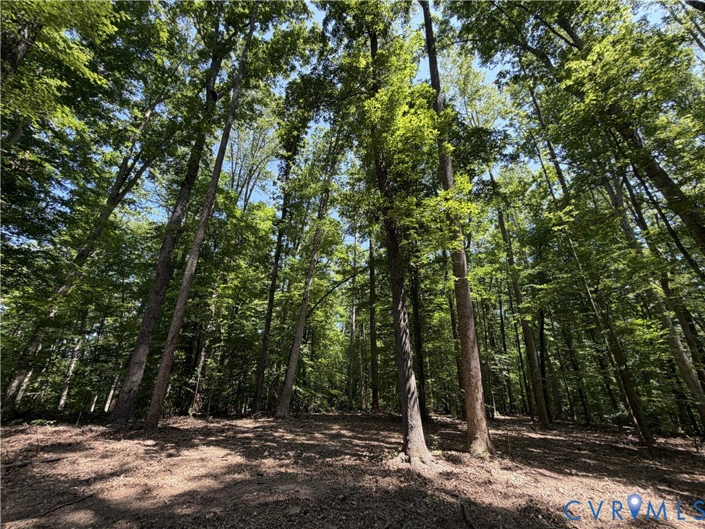 Private, wooded lot
