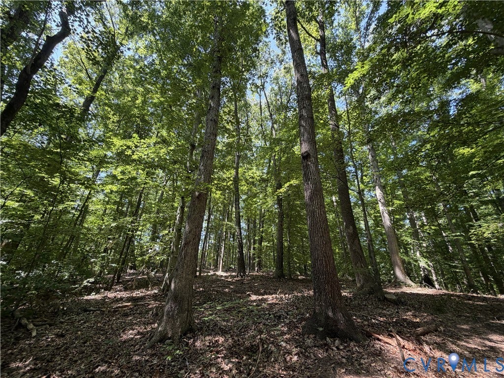 Private, wooded lot