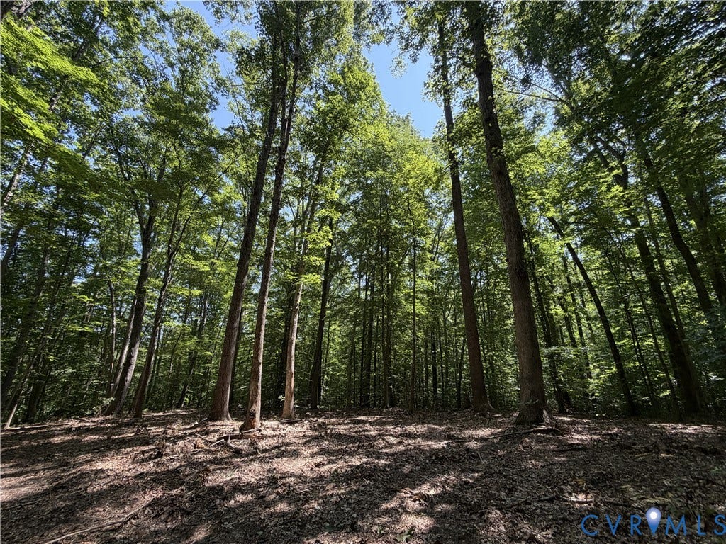 Private, wooded lot