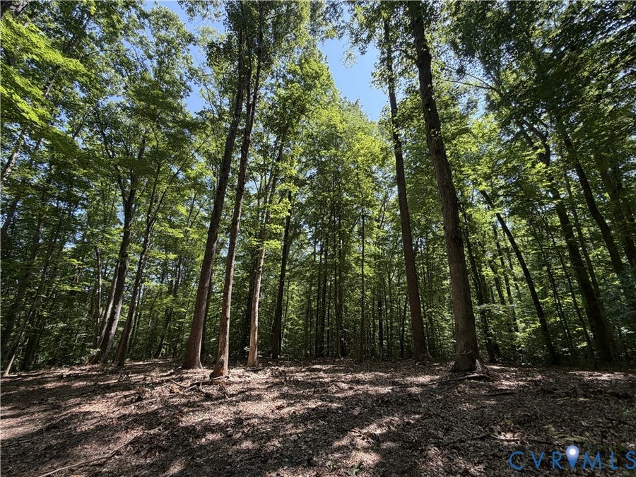 Property photo for Lot 4A Parrish Road, Louisa, VA