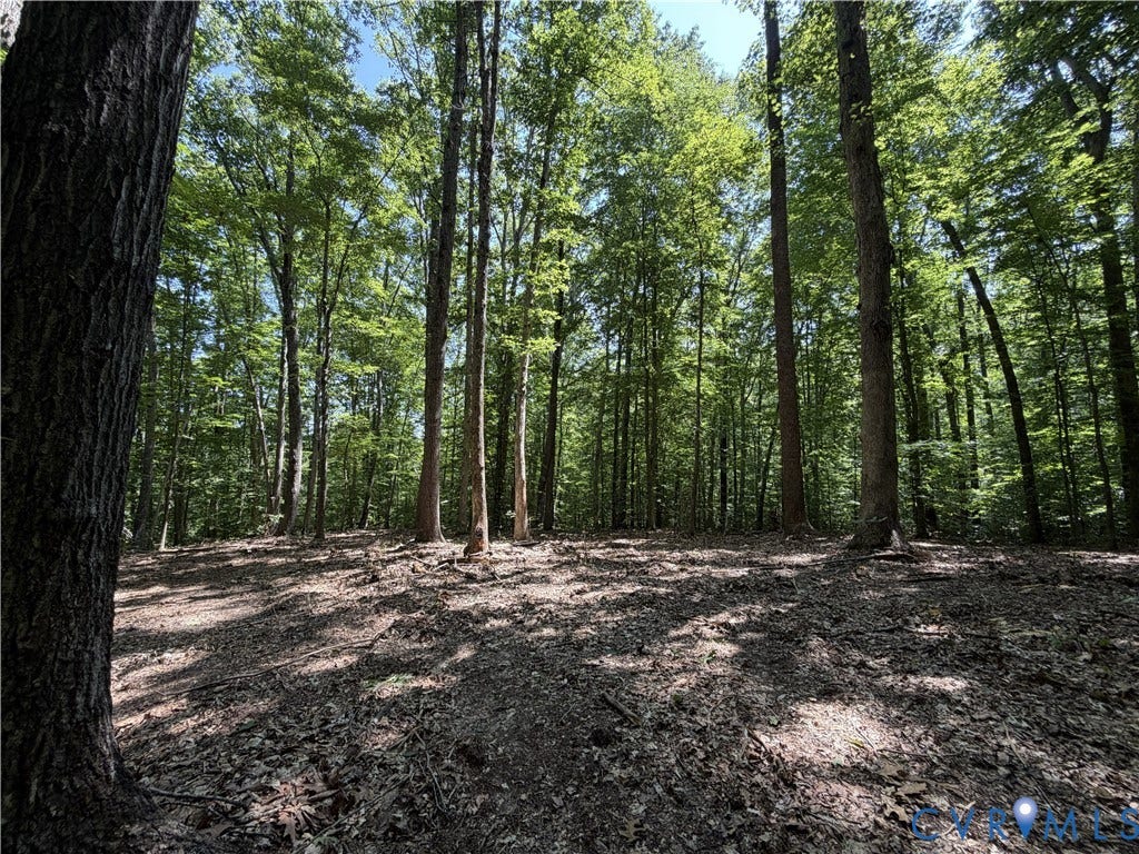 Lot 4A Parrish Road, Louisa, Louisa, VA 23093