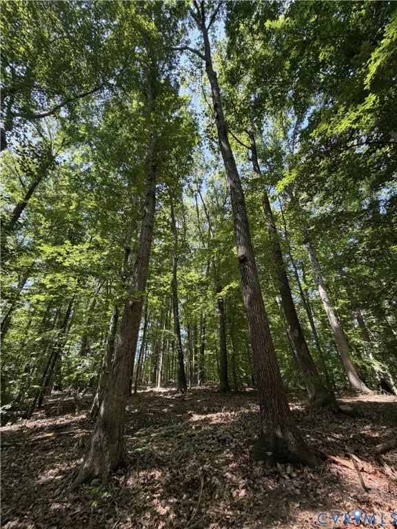 Mature trees throughout