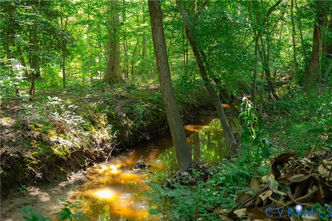 Wooded landscape featuring a winding creek, mature trees, and natural foliage