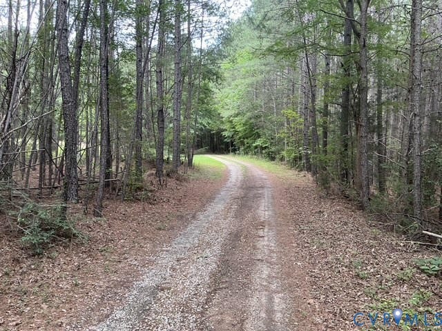 Gravel driveway winding through a dense wooded area