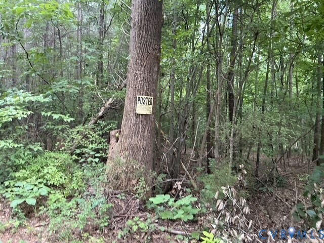 17-39A Wendy Lane Street, Amelia, VA 23002