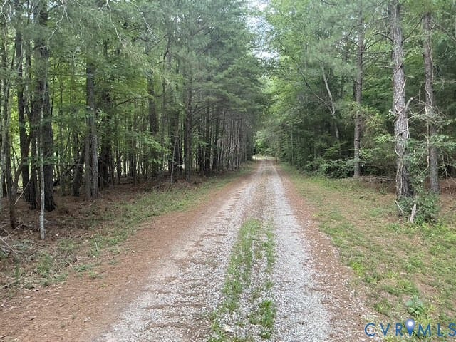 Gravel drive bordered by mature trees and natural landscaping