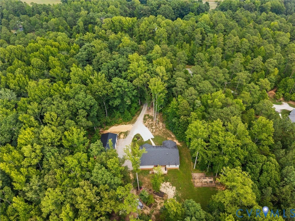 Expansive wooded property
