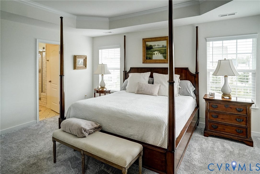 18024 Twin Falls Lane, Aston Oaks, Moseley, VA 23120 Spacious bedroom featuring plush gray carpeting, tray ceiling, and dual windows with blinds
