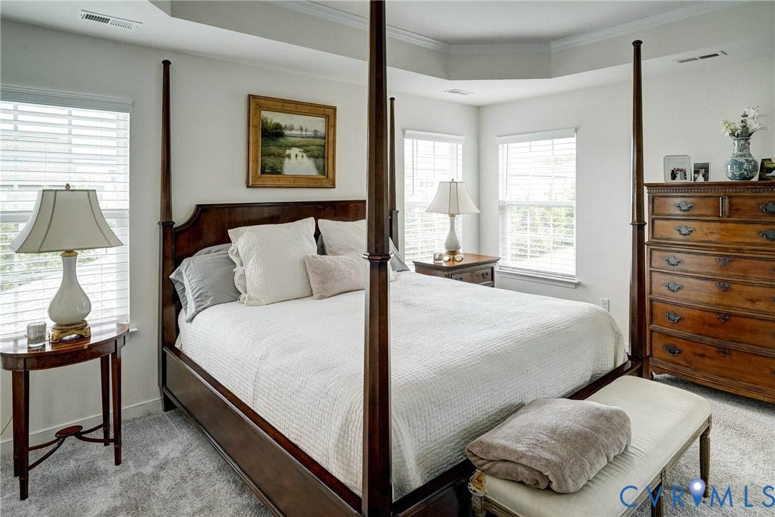 18024 Twin Falls Lane, Aston Oaks, Moseley, VA 23120 Bedroom with tray ceiling, multiple windows, carpet flooring, and white walls