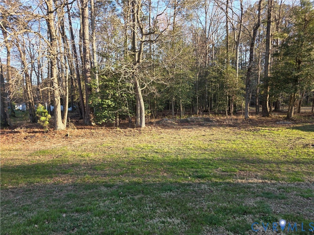 8511 Peaks Road, Hanover, VA 23069 Yard View Toward Wooded Section of Property