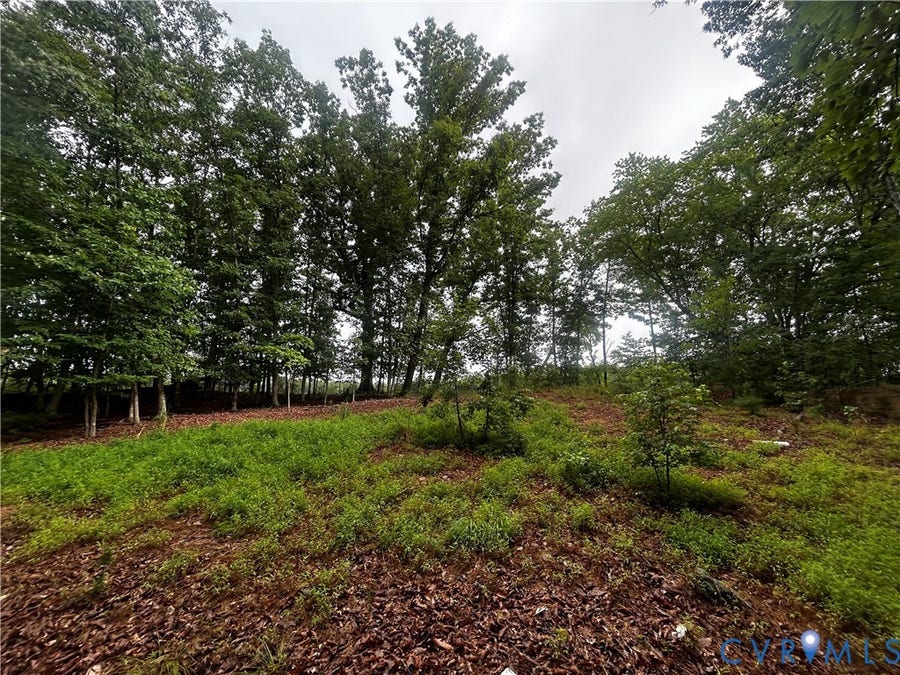 Property photo for 0 Mt Nebo Road, Barhamsville, VA