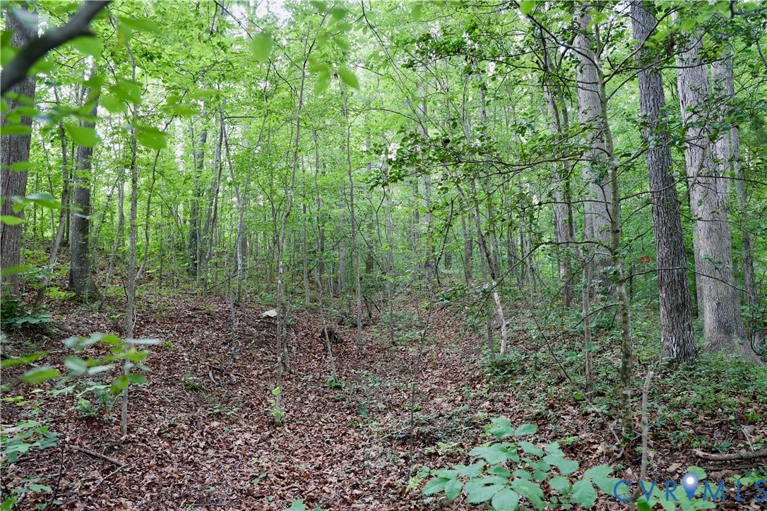 0 Moorefield Road, Mineral, Mineral, VA 23117 There's an old road bed parallel to the existing logging road. Wonder what stories it could tell?