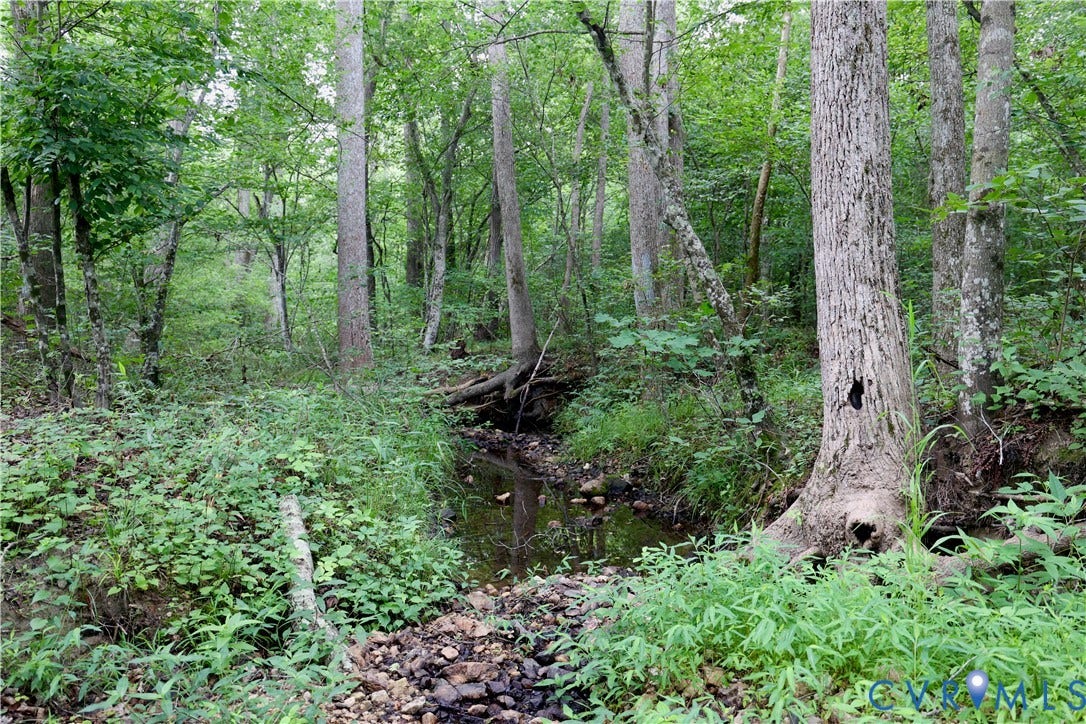 0 Moorefield Road, Mineral, Mineral, VA 23117 0 Moorefield Road, Mineral, Mineral, VA 23117