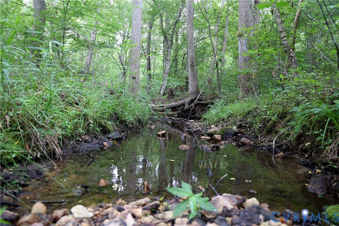 0 Moorefield Road, Mineral, Mineral, VA 23117 A beautiful stream start near the center of the property.
