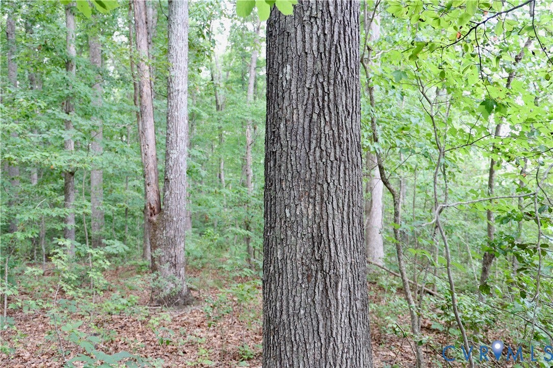 0 Moorefield Road, Mineral, Mineral, VA 23117 0 Moorefield Road, Mineral, Mineral, VA 23117
