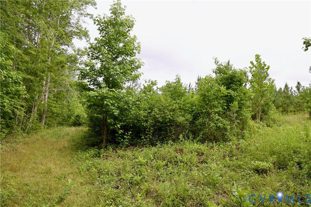 0 Moorefield Road, Mineral, Mineral, VA 23117 This spot offers an easy location for a micro foodplot.