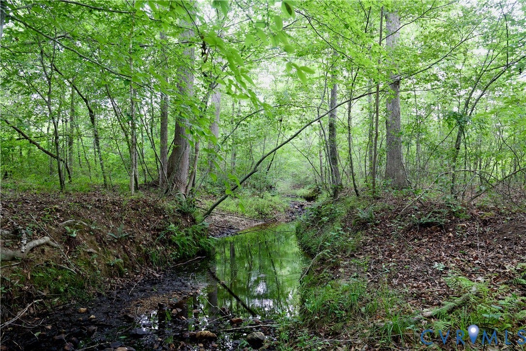 0 Moorefield Road, Mineral, Mineral, VA 23117 There are 2 branches further up from here which look to be good spots for a future pond.