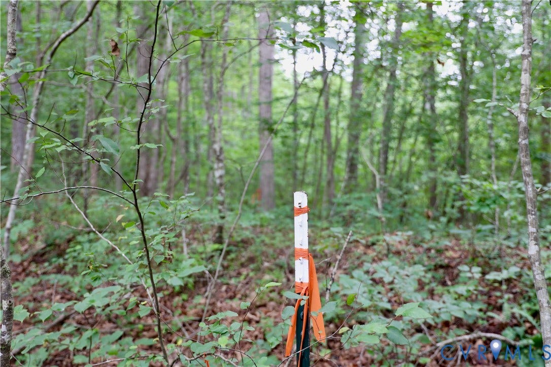 0 Moorefield Road, Mineral, Mineral, VA 23117 Some boundary markers were noticed on the Eastern side throughout the hardwood section.