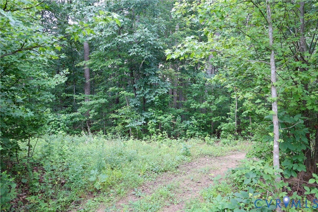 0 Moorefield Road, Mineral, Mineral, VA 23117 One of the internal road intersections. Could be great for a food plot.