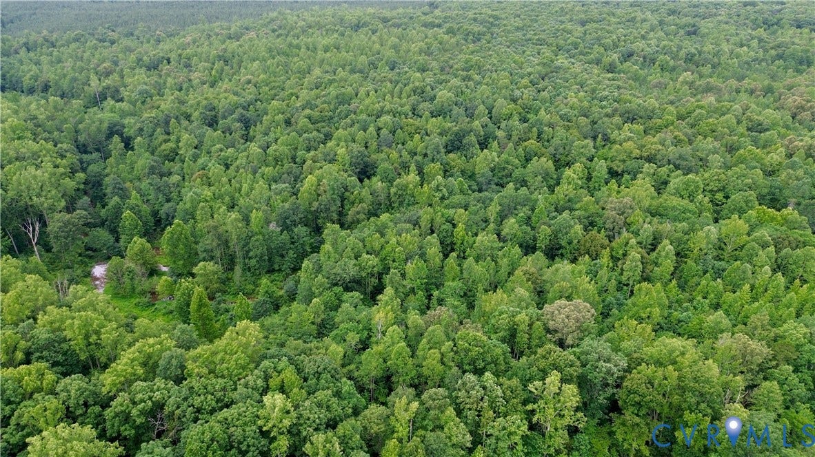 0 Moorefield Road, Mineral, Mineral, VA 23117 Aerial view of the hardwood area.