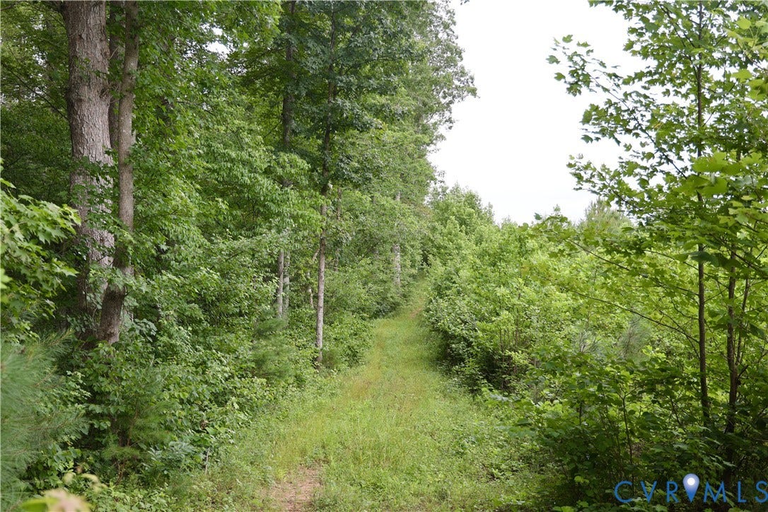 0 Moorefield Road, Mineral, Mineral, VA 23117 0 Moorefield Road, Mineral, Mineral, VA 23117