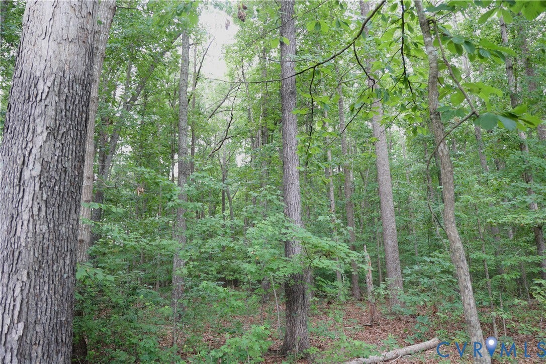0 Moorefield Road, Mineral, Mineral, VA 23117 0 Moorefield Road, Mineral, Mineral, VA 23117