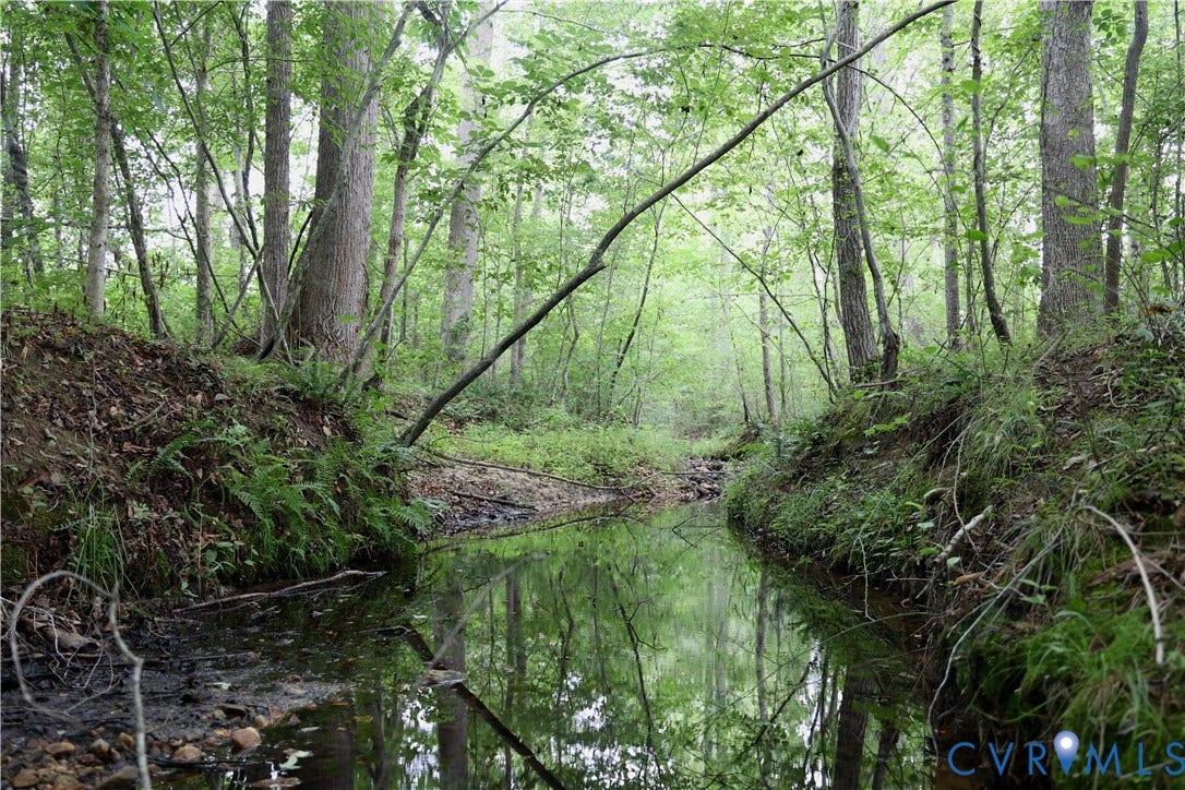0 Moorefield Road, Mineral, Mineral, VA 23117 The stream had several nice deep holes full of minnows.