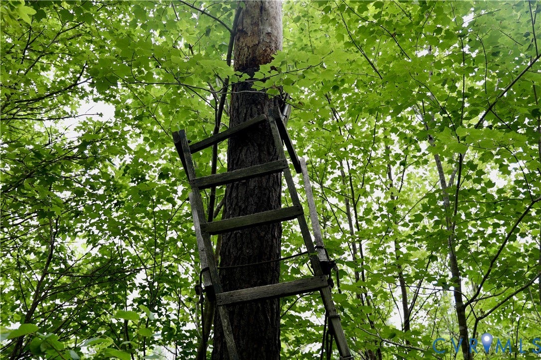 0 Moorefield Road, Mineral, Mineral, VA 23117 They always say when you find an old wooden stand that you should hunt there.