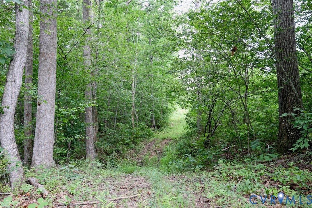 0 Moorefield Road, Mineral, Mineral, VA 23117 Wooded landscape with a discernible path