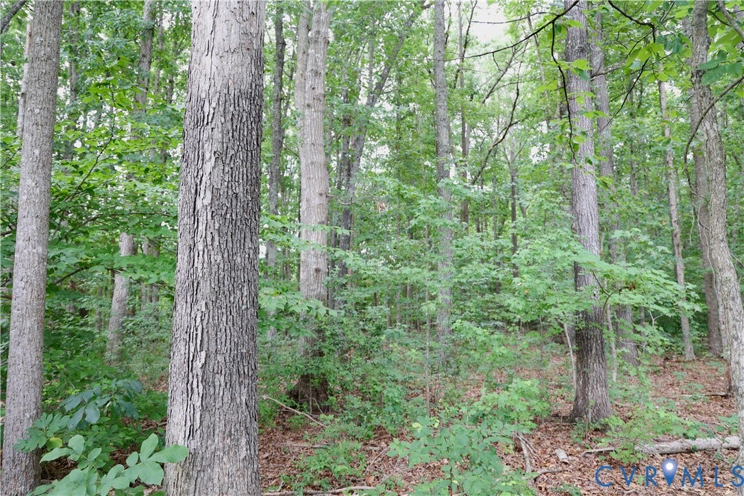 0 Moorefield Road, Mineral, Mineral, VA 23117 0 Moorefield Road, Mineral, Mineral, VA 23117