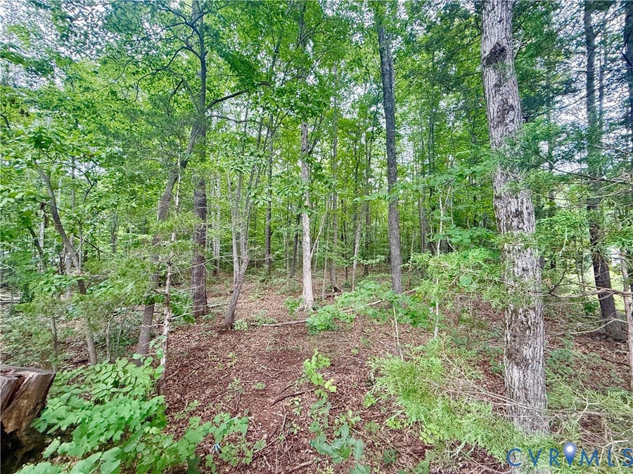 Property photo for Lot 1 Forest Chapel Rd, Pamplin, VA