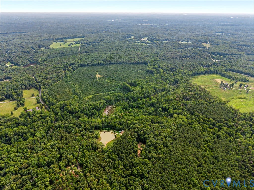 2590 Danieltown Road, Western Rural Goochland County, Goochland, VA 23063 Expansive acreage featuring mature tree cover, open fields, a winding private road, and a private pond