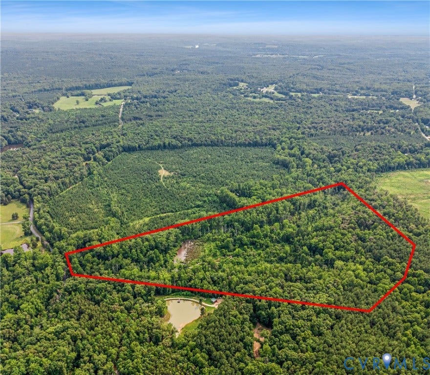2590 Danieltown Road, Western Rural Goochland County, Goochland, VA 23063 Expansive woodland property encompassing approximately 100+ acres of mature forest with mixed hardwood and evergreen stands