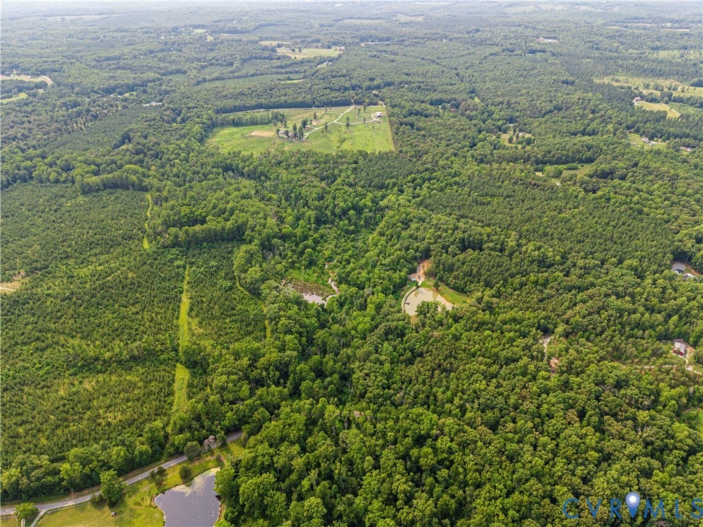 2590 Danieltown Road, Western Rural Goochland County, Goochland, VA 23063 Expansive wooded landscape featuring a mix of mature trees and younger growth