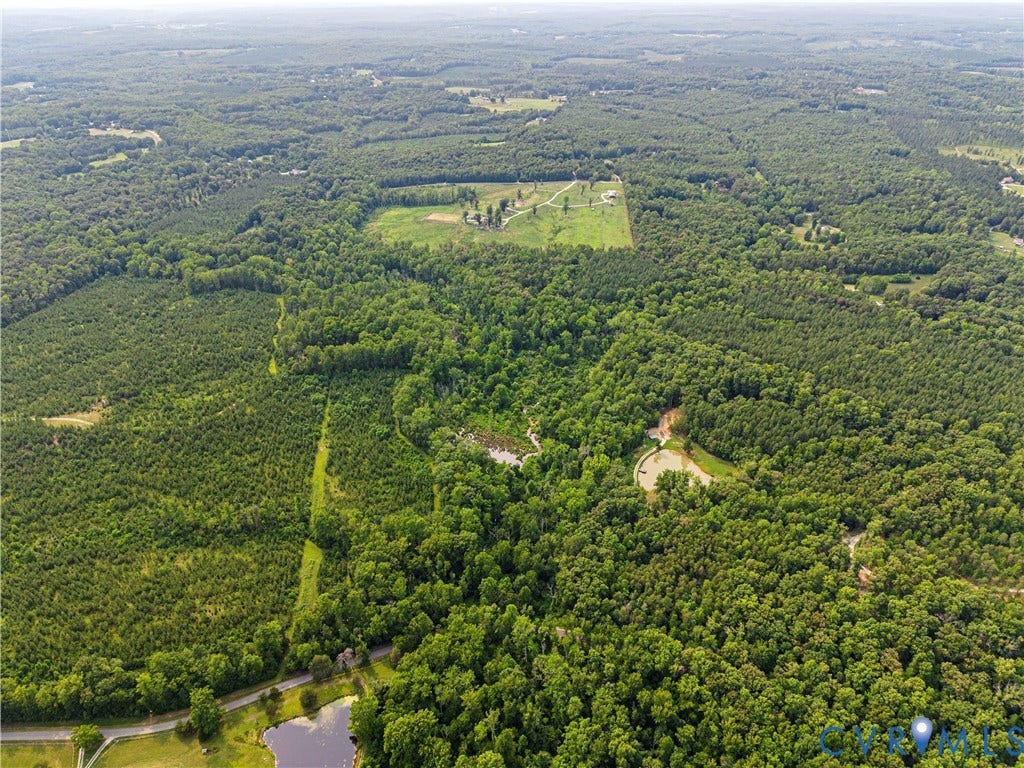 2590 Danieltown Road, Western Rural Goochland County, Goochland, VA 23063 Expansive wooded acreage featuring diverse tree coverage and open clearings