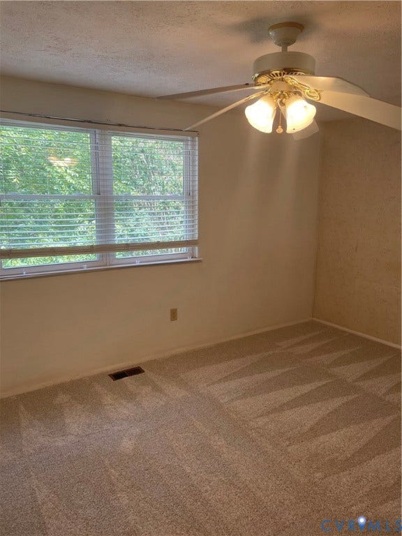 10524 Seacliff Lane, Chestnut Hills, North Chesterfield, VA 23236 New Carpet