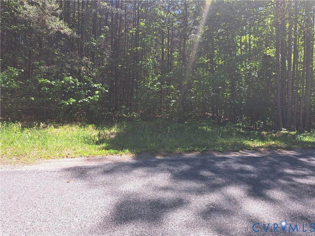 0 Riddles Bridge Road, Goochland, VA 23063 Wooded lot featuring mature trees and lush green foliage