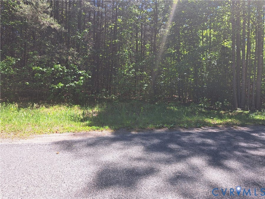 Property photo for 0 Riddles Bridge Road, Goochland, VA