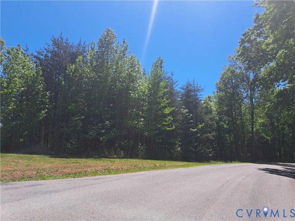 0 Riddles Bridge Road, Goochland, VA 23063 Wooded property featuring mature trees and a paved road frontage
