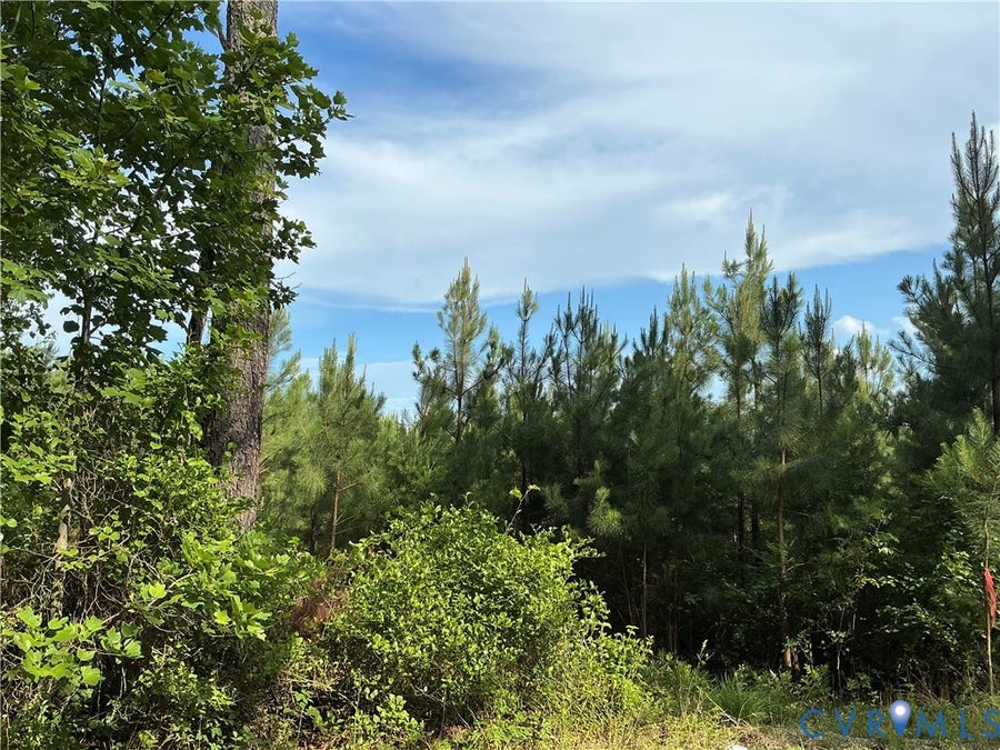 Property photo for 0 FORTUNE (48 Acres) Drive, Bowling Green, VA