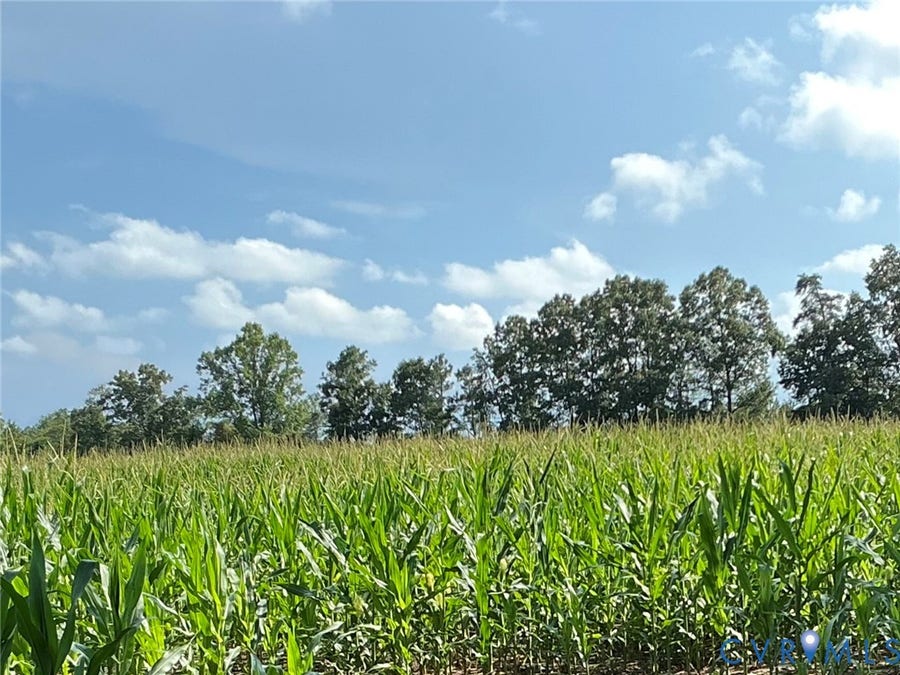 Property photo for 00 FORTUNE (26 ACRES) Drive, Bowling Green, VA