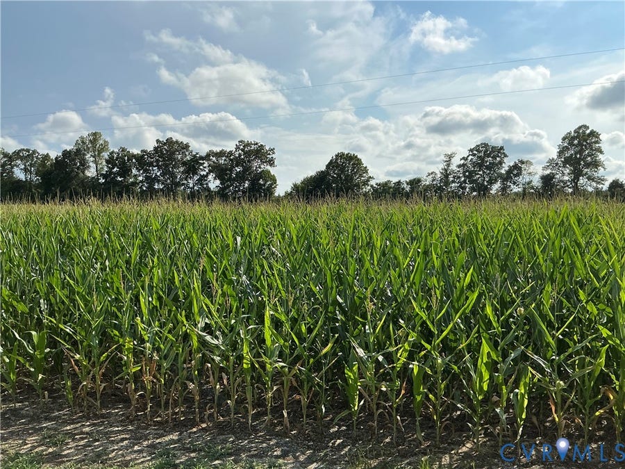Property photo for 000 FORTUNE (3 ACRES) Drive, Bowling Green, VA