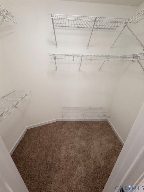 White shelving system, wall-mounted storage, brown carpet flooring