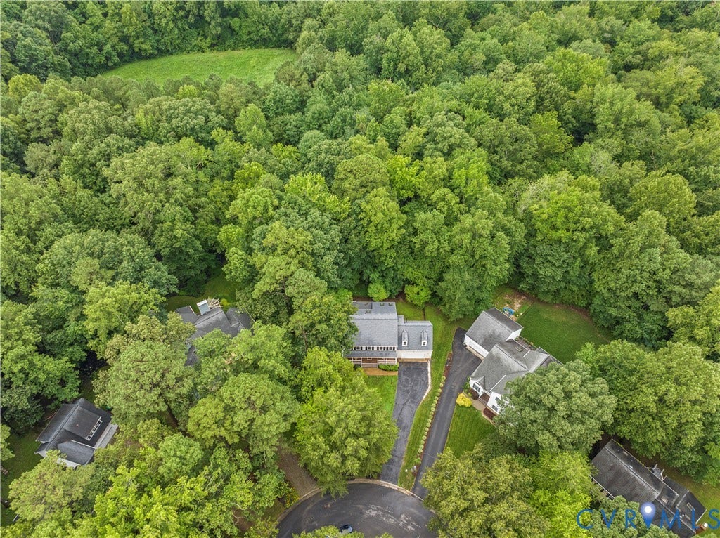 Expansive tree canopy surrounding the property, providing a private setting