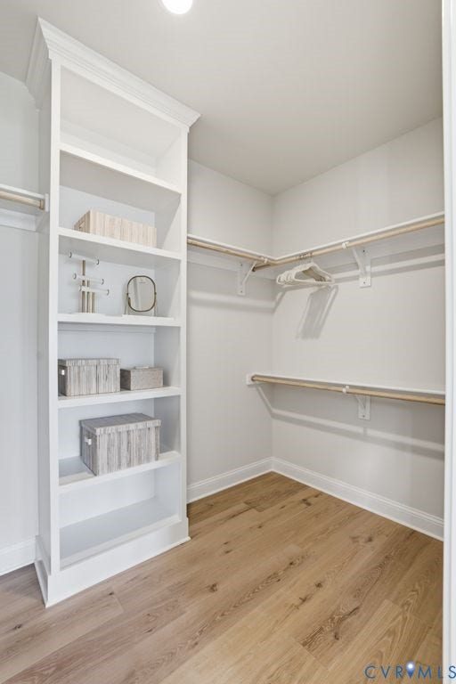 Walk-in closet featuring wood-finish flooring, built-in shelving, crown molding, baseboards, and clothing rods