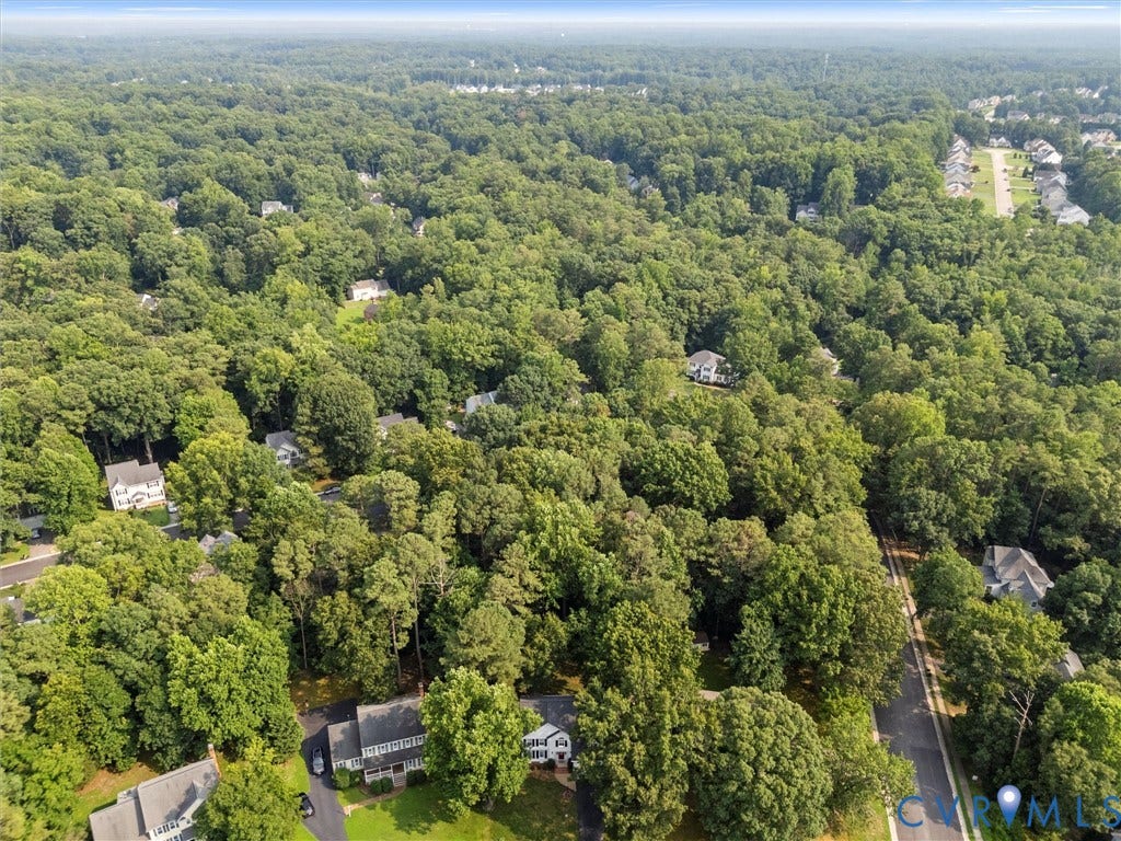 13915 Highpaige Way, Stoney Glen West, Chester, VA 23831 Expansive treed landscape with scattered residential properties