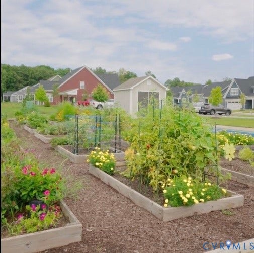 10508 Goosecross Way, Stag's Leap/ Stag's Trail, Hanover, VA 23116 Community garden with multiple raised garden beds, and various plantings of vegetables and flowers